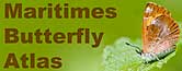 buterfly atlas