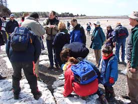 Field Trip to gypsum deposits