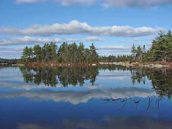 Suzie's Lake